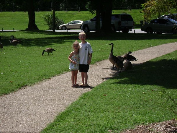 The grandkids