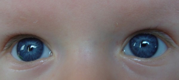 The gratest eyes of the World