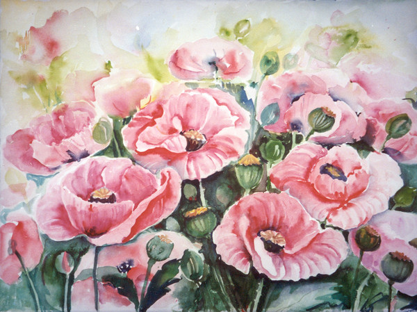 Poppies
