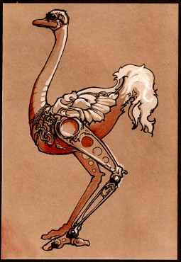 ostrich2