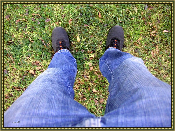 Self-Portrait