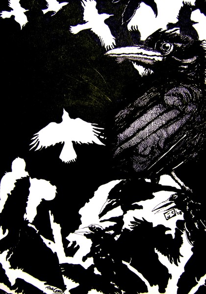 The Crows 