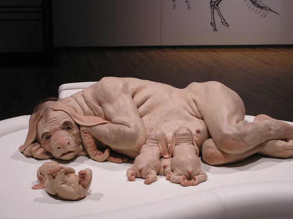 The human animal