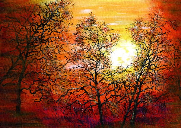 Sunrise