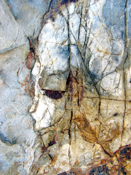 Portrait in the Rock