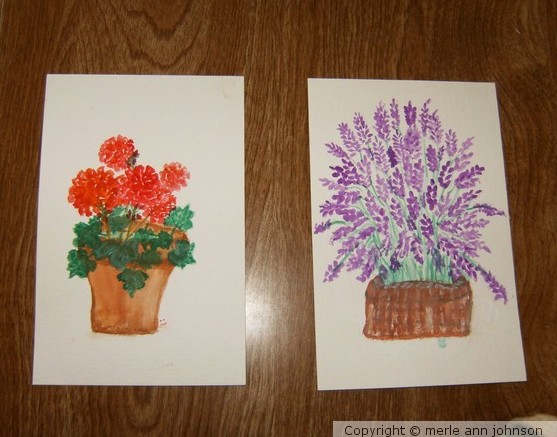  Geranium and Lavender