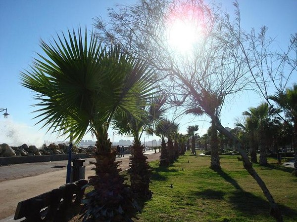 photo from Mersin Shore / TURKEY.