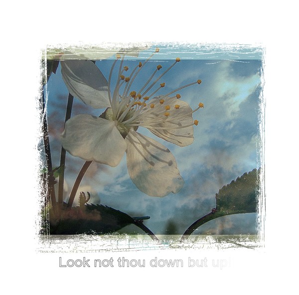 Look Up..