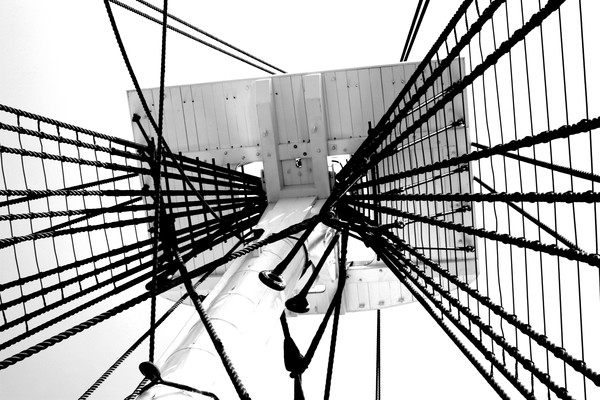 Ropes of the Constitution