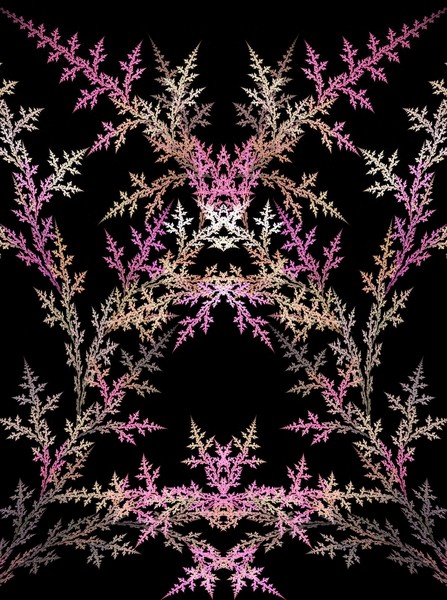 Plants 7