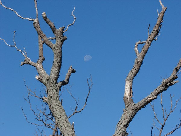 Pointing to the Moon
