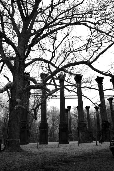 Abandoned majesty