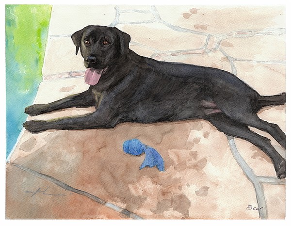 black lab watercolor painting theuer
