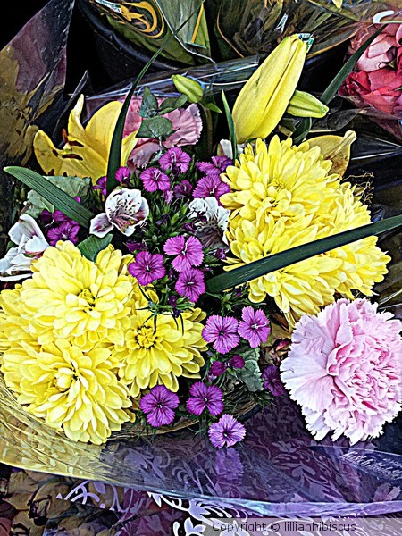 Flowers 31614