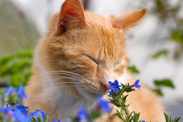 • My little Boy passed away