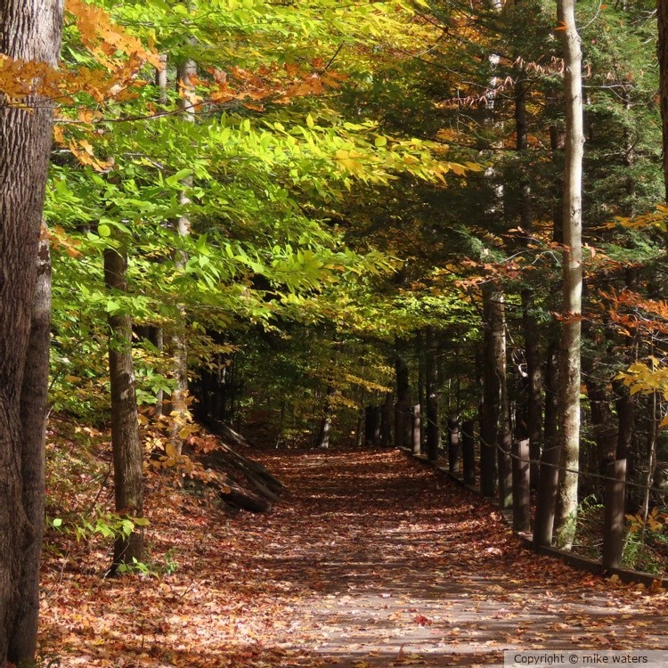 nature trail