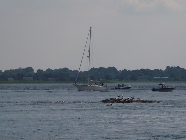 Sailing by 