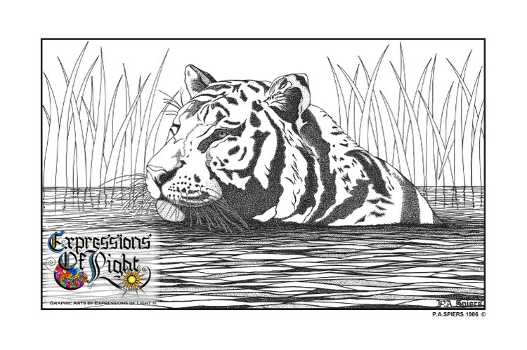 ExpoLight-Graphic-Arts-Tiger-1986-0001 (Pen-&-Ink-Mono-SP)