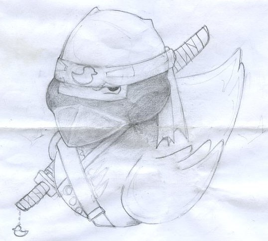 Ninja Duck