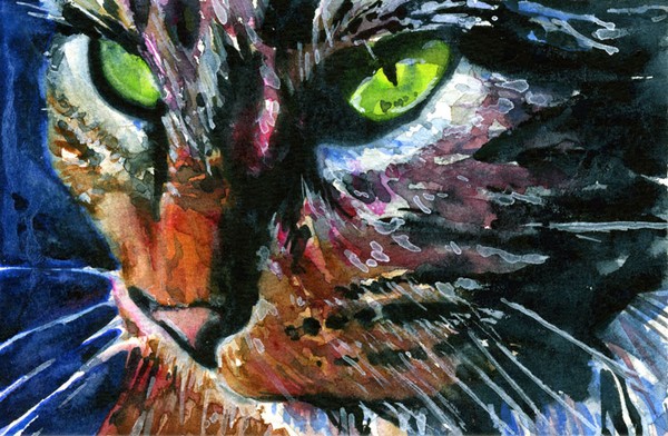 Cats Eyes 11