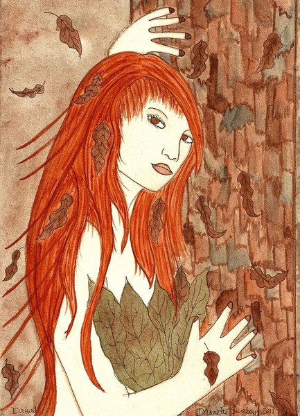 Dryad