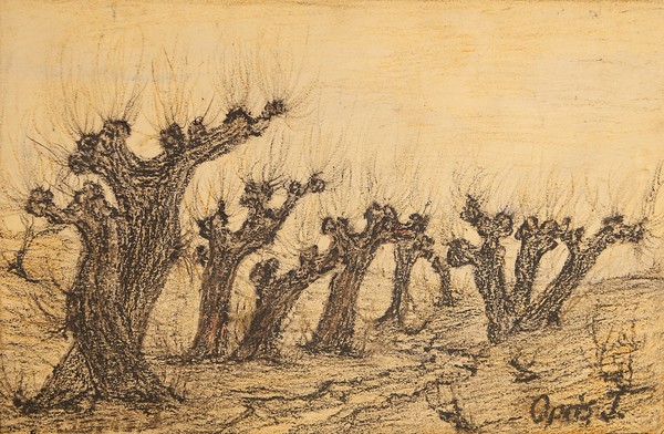 The water willows
