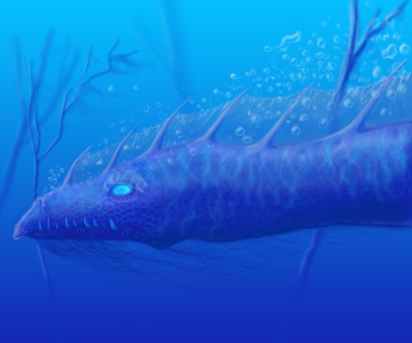 Pond drake