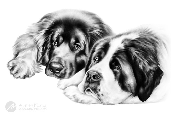Daisi & Bretta