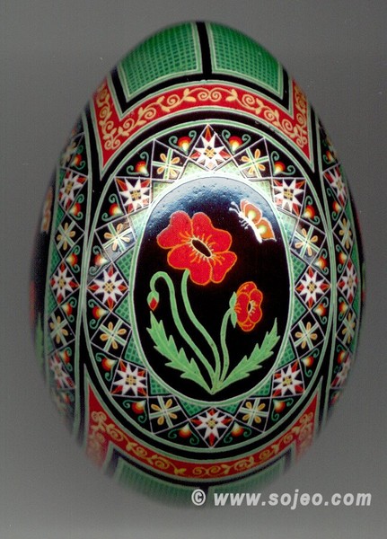 Red Poppies
