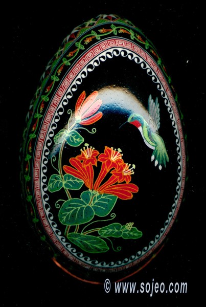 Ruby Throated Hummingbird & Trumpet Honeysuckle