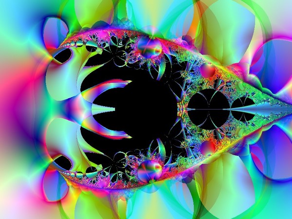 Multicolor