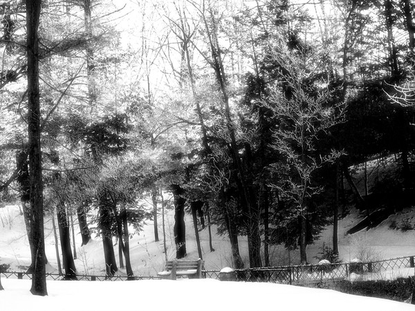 Solitude