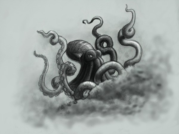 octopus