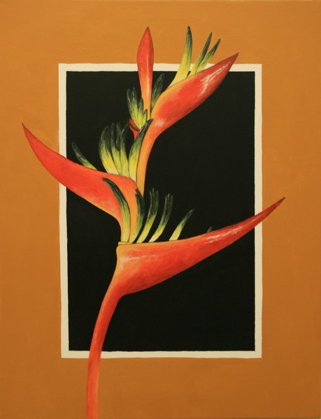 Heliconia