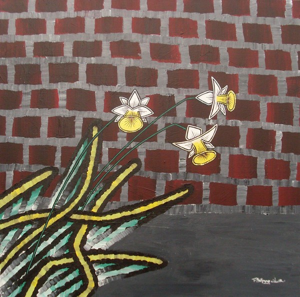 Daffodils