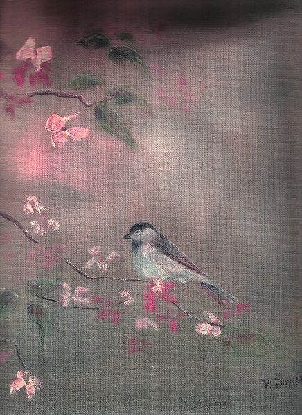 Bird study