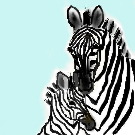 Zebras