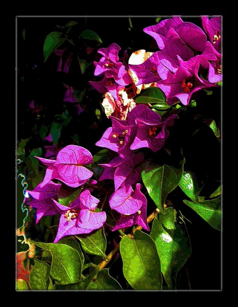 Memoring summer.......