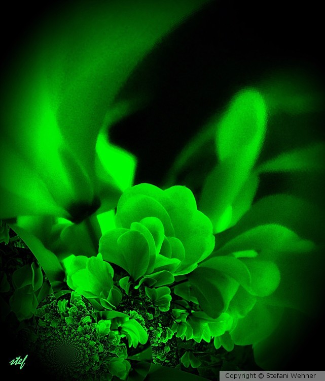 for ever green