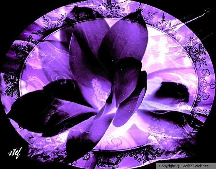 Magnolia in gothic style