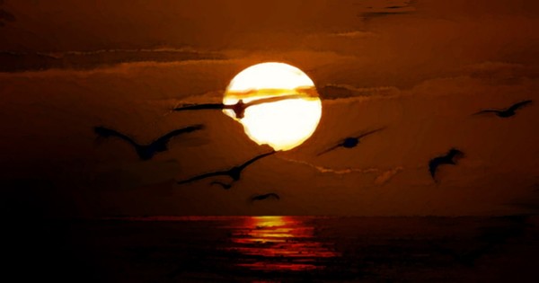 Morning flight