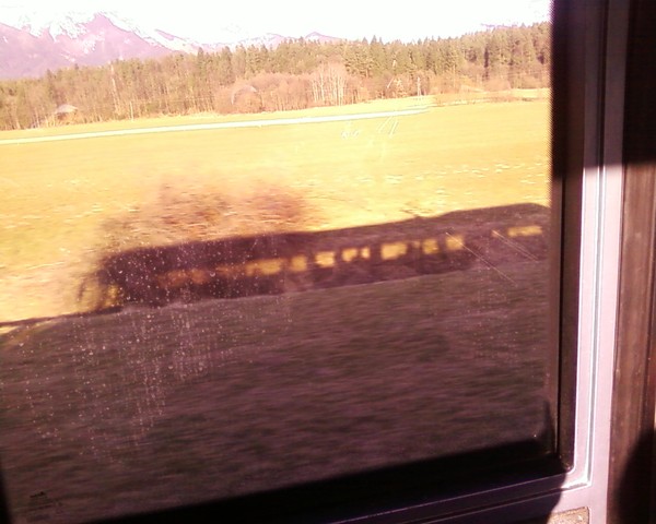 Bus
