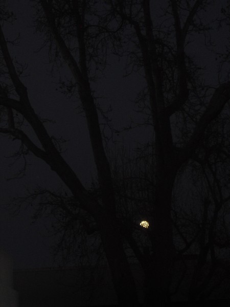 Full moon Rising