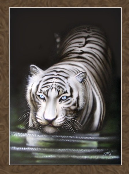 White Tiger