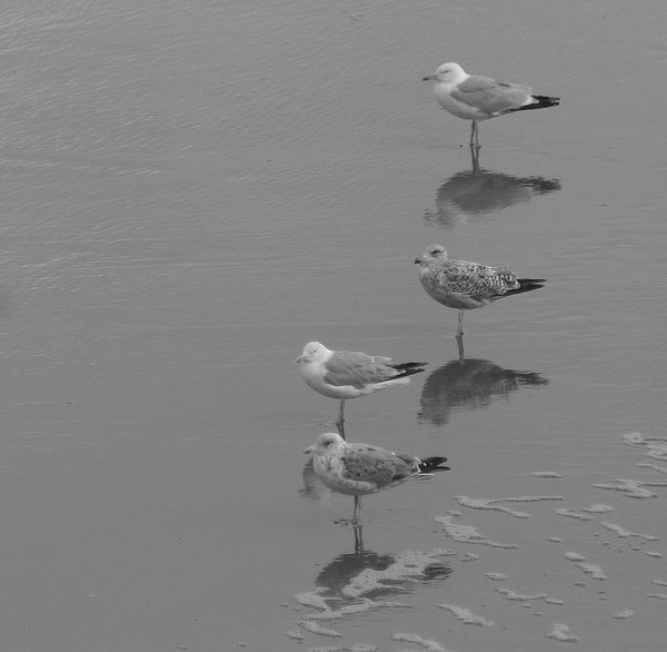 Paddling