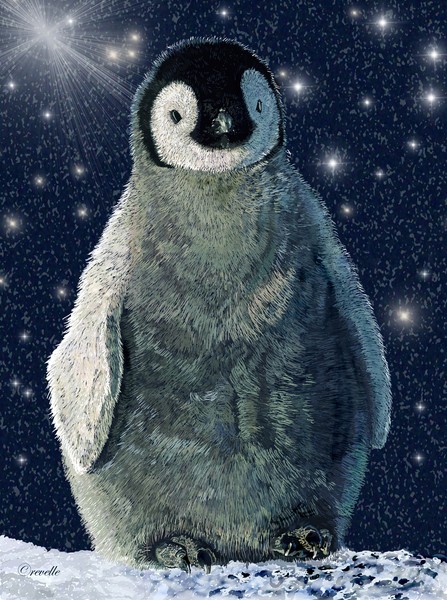 Baby Penguin