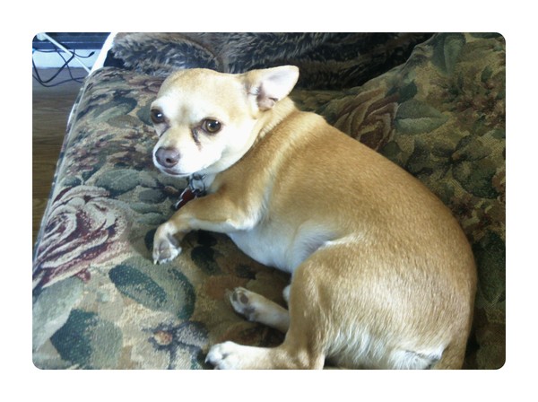 Tanner at ease