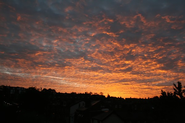 Sunrise