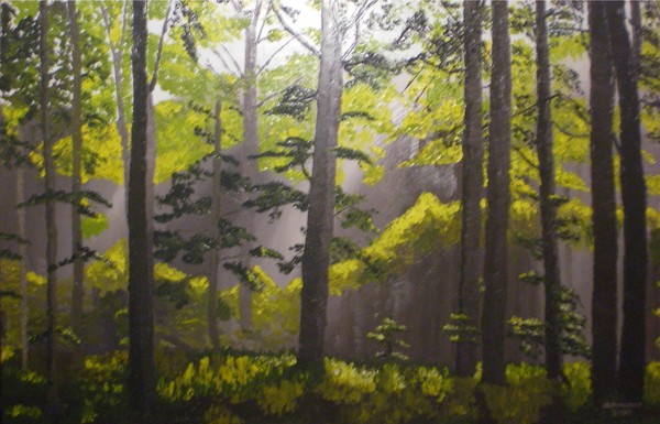 Light Through the Forest (large version)