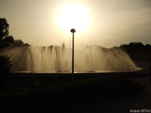 In Park